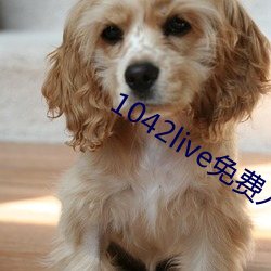 AG真人平台(中国)官方网站