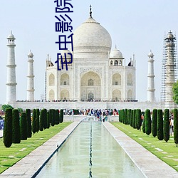 宅蟲影院