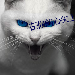 在你(nǐ)的心尖上起(qǐ)舞