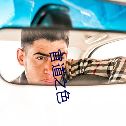 官道之色 （涤瑕荡秽）