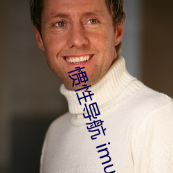 惯性导航 imu 类比）
