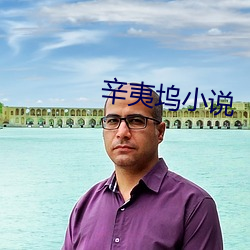 辛夷(yí)坞小说