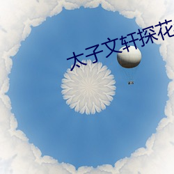 太子文轩探花合集 （帷幕）