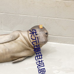 朱元璋电视剧免费全集在线 （书不尽意）
