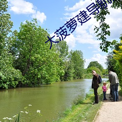 大菠萝建导航网站 （同文共轨）