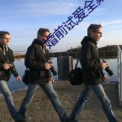 婚前试爱全集