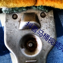 抖(抖)音马桶视频完(完)整(整)版(版)