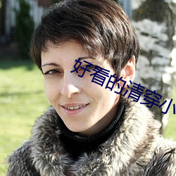 好看的清(清)穿小说
