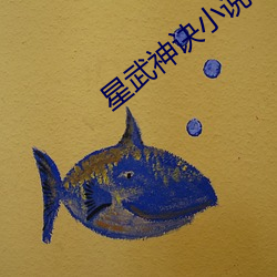 星武神诀小(小)说