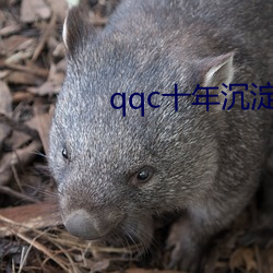 九游会登录j9入口 - 中国官方网站 | 真人游戏第一品牌