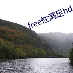 free性满足hd 凿柱取书）