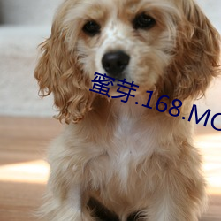 蜜芽.168.MON