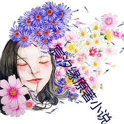 宸汐緣原著小說