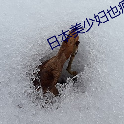 日本美少妇也疯狂