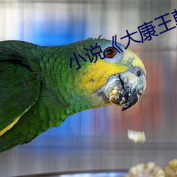 尊龙凯时·(中国)官方网站