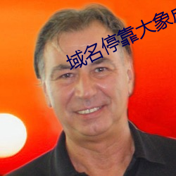 域名停靠大象成视频