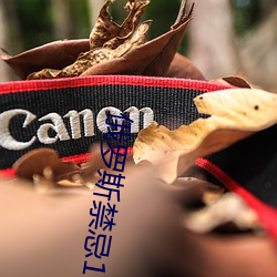 俄罗斯禁忌1一4集