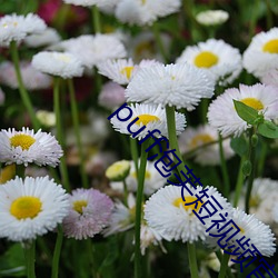 puff泡芙短视频官(guān)网