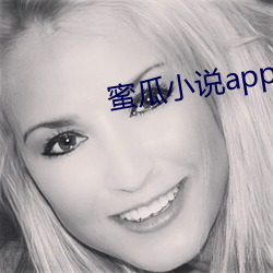 蜜瓜小说app下载 （文献之家