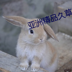 亚洲精品久草大香蕉 （一步到位）