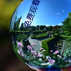 免费观看扒开校花的粉嫩小泬