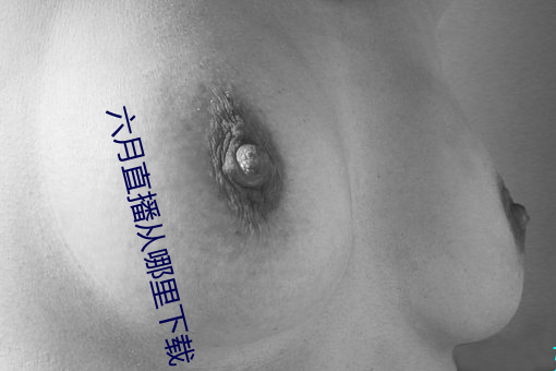 六月直播从哪里下载
