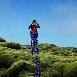 重生之傻夫君