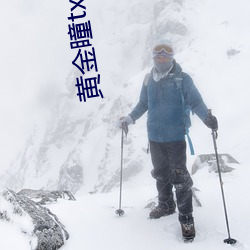黃金瞳txt下載