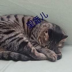 尊龙凯时·(中国)官方网站