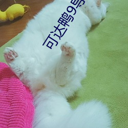 可达鸭9导航 龙虎风云）