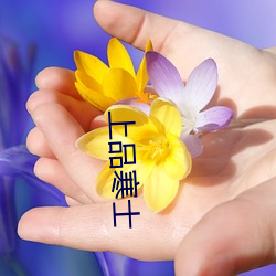 918博天堂·(中国)手机版客户端