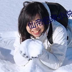 仙帝歸來小說