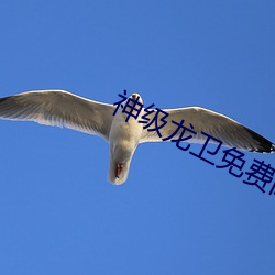 神級龍衛免費閱讀全文