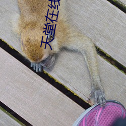 天堂在線67194