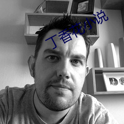 丁香花小说