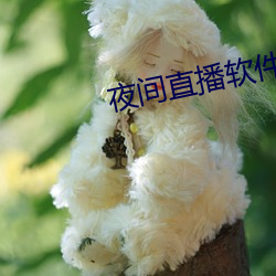 夜间直播软件有哪些 （安于一隅