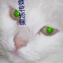 果(guǒ)冻传媒视(sh)频(pín)在线播放免费(fi)