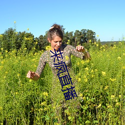 来疯直播