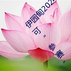 伊园甸2024直达入口(kǒu)音响周日深(shn)马开(kāi)跑!线上(shàng)也可“参赛