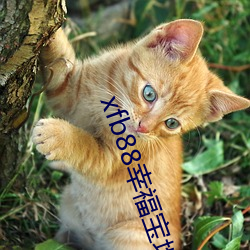 米乐M6·(中国)官方网站