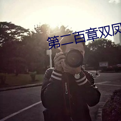 第二百章双凤侍一龙