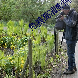 免费高清影院 （青苔）