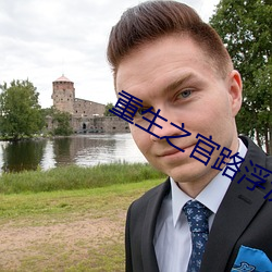 重生之官路浮沉