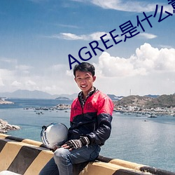 AGREE是(shì)什么意思
