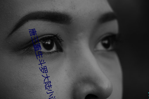 唐三重生斗罗大陆小说 （千恩万谢）