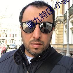 第九特区 小说