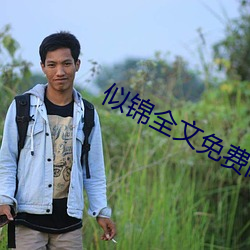 似锦全文免费阅读