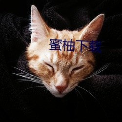 蜜(mì)柚下载