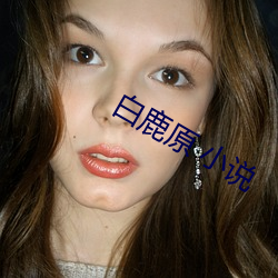 白鹿原 小说