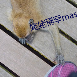 姥姥稀罕master